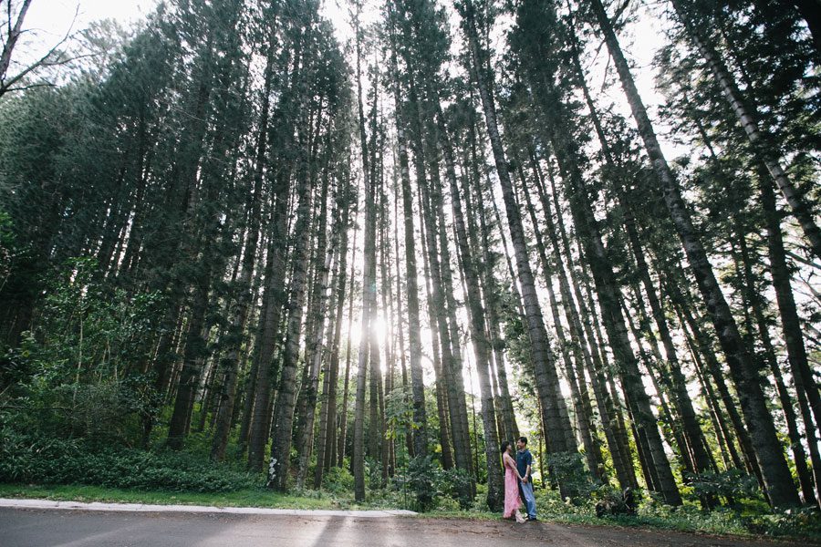 Oahu-Engagement-Photographer-6