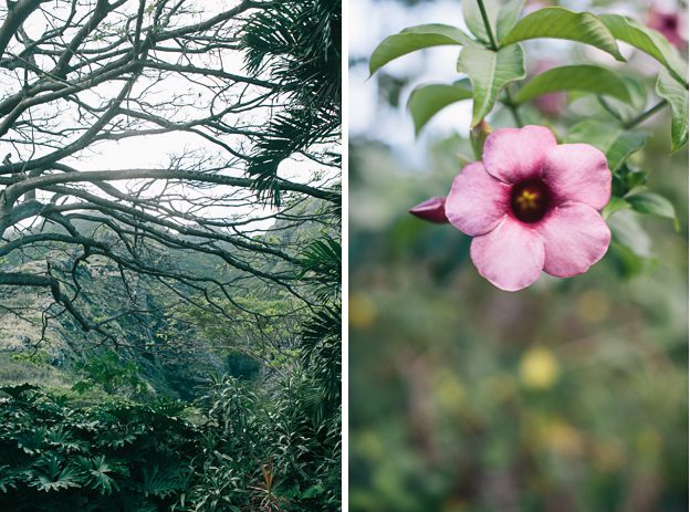 kualoa-ranch-photographer-1