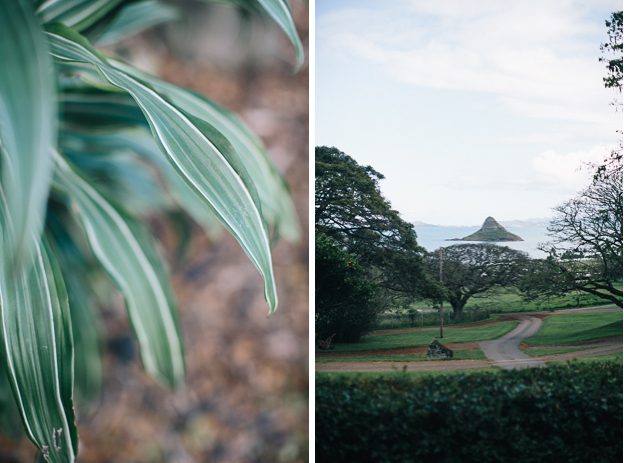kualoa-ranch-photographer-2