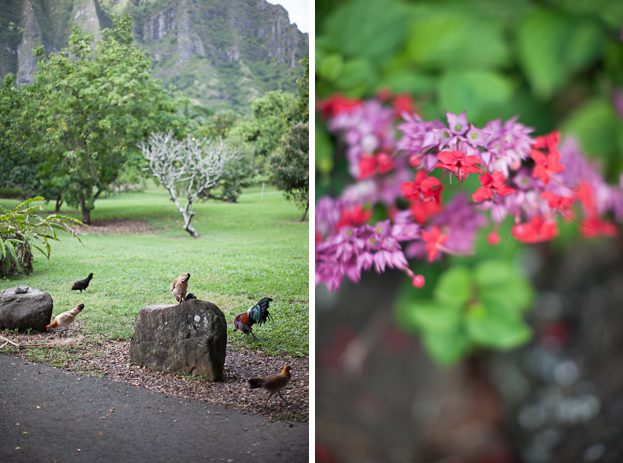 kualoa-ranch-photographer-5