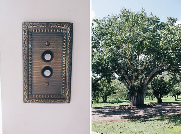Dillingham-Ranch-Wedding-Photographer-5