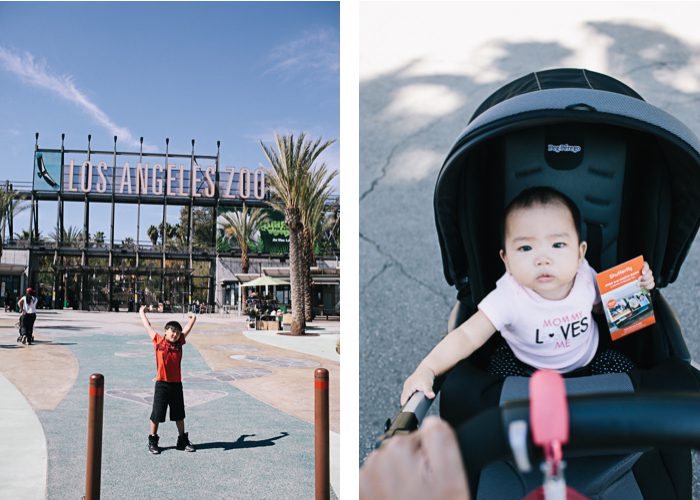 California-photographer-1003