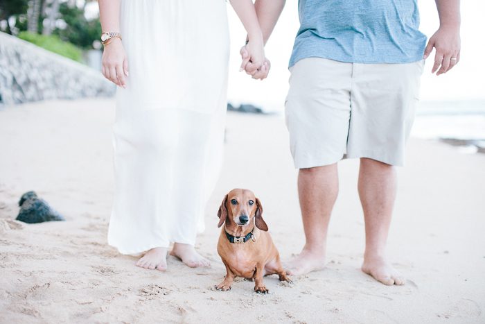 couples-photographer-hawaii-1005