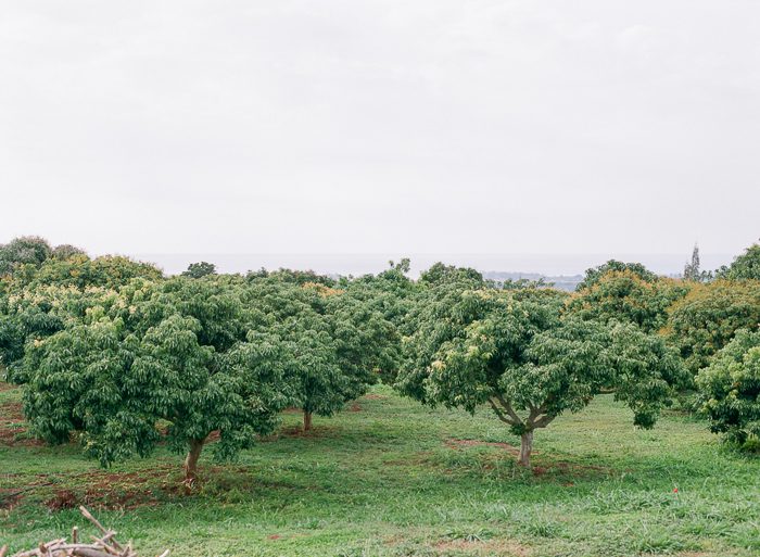 farming-9