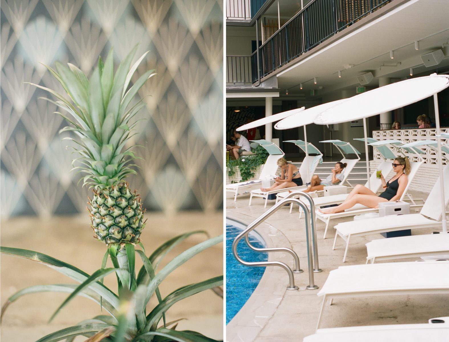 surfjack-hotel-7